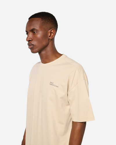 Halo Graphic Boxy T-Shirt - Oyster Gray/ Asphalt