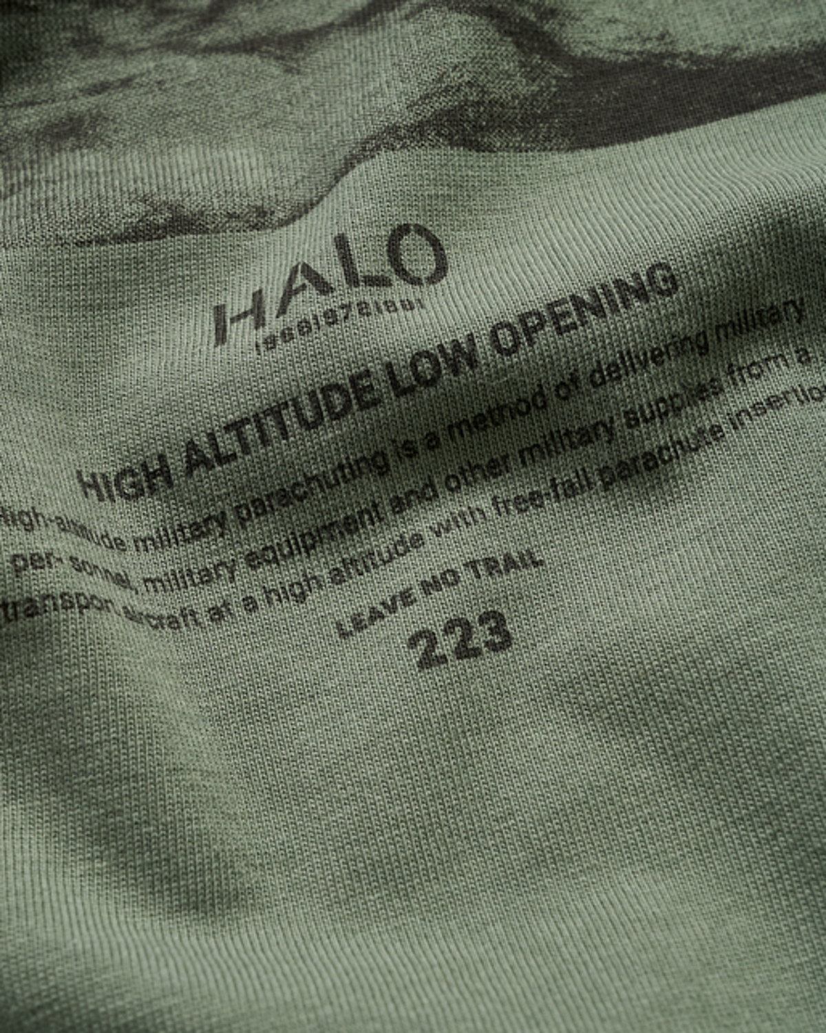 Halo Logo Photo Graphic T-Shirt - Agave Green